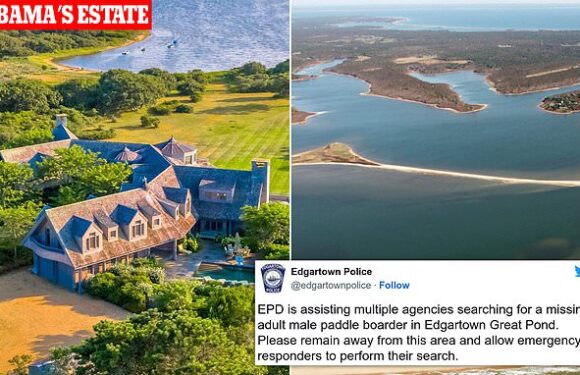 Search for paddleboarder, 43, who went missing in Martha's Vineyard