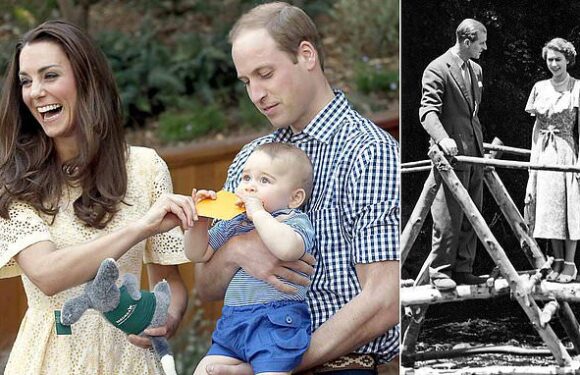 Senior Royals set for two years of tours in 'soft democrazy' blitz