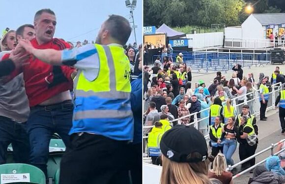 Shocking moment violence erupts at N-Dubz concert with a fan 'stabbed'