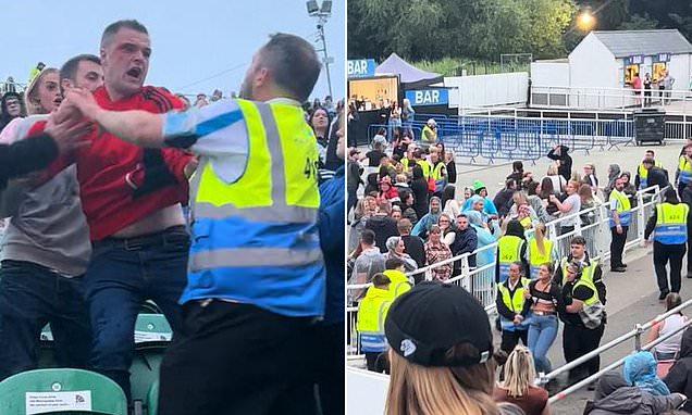 Shocking moment violence erupts at N-Dubz concert with a fan 'stabbed'