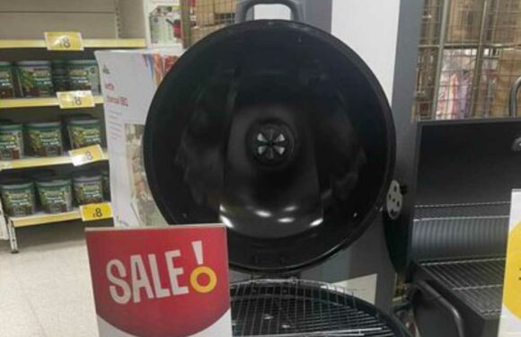 Shoppers are going wild for a barbecue scanning for just £35 – and it’s probably the cheapest on the high street | The Sun