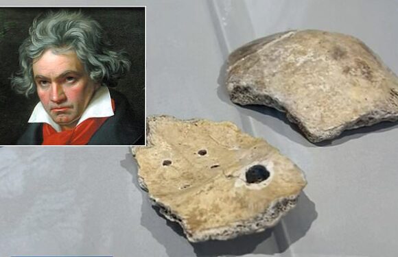 Skull fragments believed to be from Beethoven to be returned