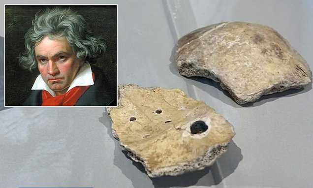 Skull fragments believed to be from Beethoven to be returned