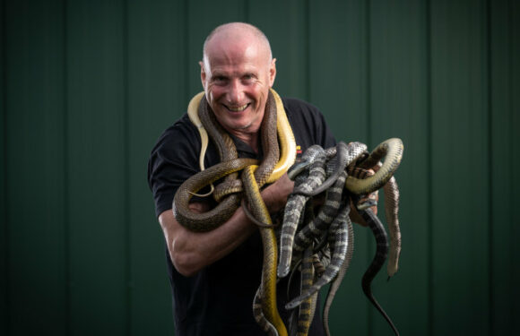 Snake catcher, Gen Z hopefuls among field for Warrandyte byelection