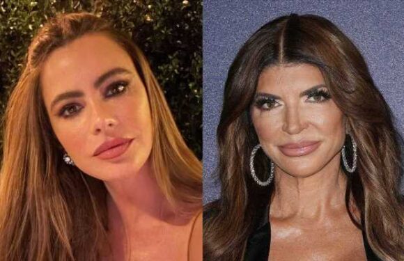 Sofia Vergara Called ‘Rudest Woman’, Accused of Forgetting Her Humble Beginning by Teresa Giudice