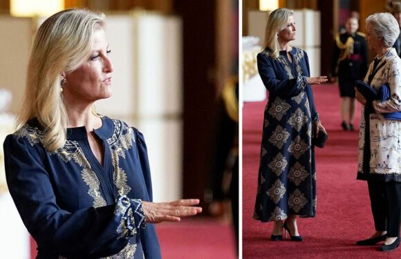 Sophie, Duchess of Edinburgh wears £1,035 dress and peach nail polish tonight