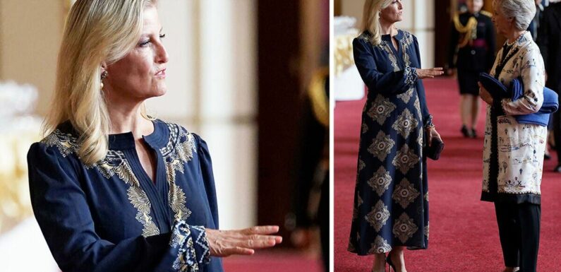 Sophie, Duchess of Edinburgh wears £1,035 dress and peach nail polish tonight