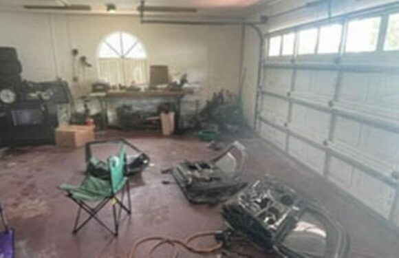 ‘Squatters’ destroy £700k mansion leaving it infested with bugs