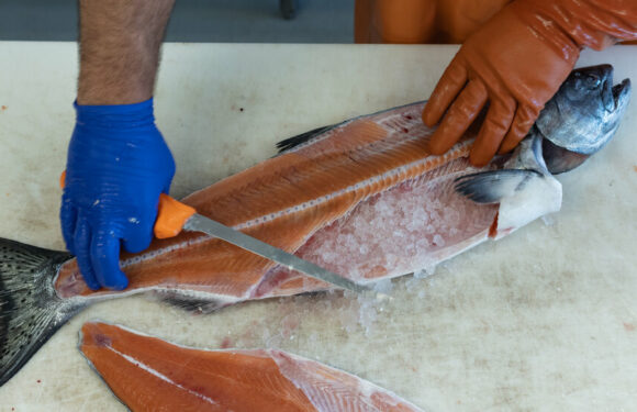 Starving Orcas and the Fate of Alaska’s Disappearing King Salmon