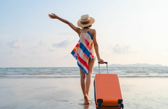 TK Maxx launches biggest ever big brand luggage drop – including £160 saving on Skyflite