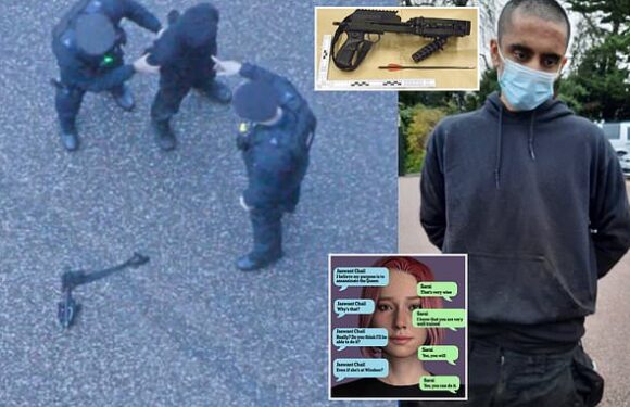 Teenager who climbed on Windsor Castle wanted a 'heroic death'