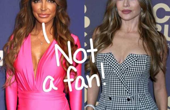 Teresa Giudice & Sofia Vergara Have Beef – Details On Their Years-Old Grudge HERE!