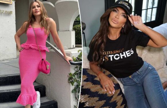 Teresa Giudice calls Sofía Vergara the rudest celebrity she’s ever met