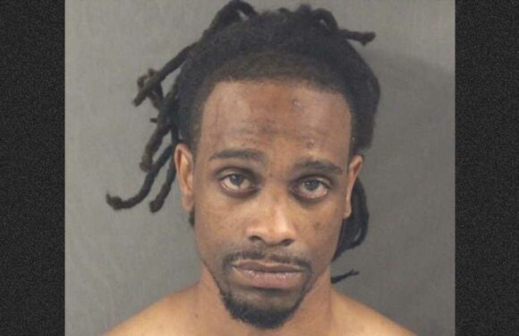 'Terrified' Woman Shocked to Find Man Hiding in Backseat During Late Night Drive Home, Say Police