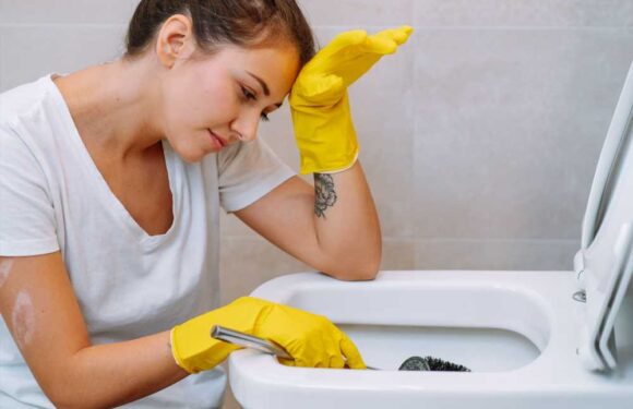 The £2 trick to clean a grim loo according to Mrs Hinch fans… and they ought to know | The Sun