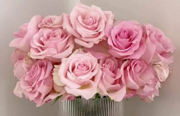 The super-simple way to make cheap supermarket flowers look expensive in seconds without spending a penny | The Sun