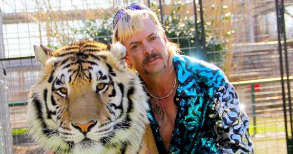 Tiger King’s Joe Exotic ‘struggling’ in solitary confinement cell ‘too small for monkeys’
