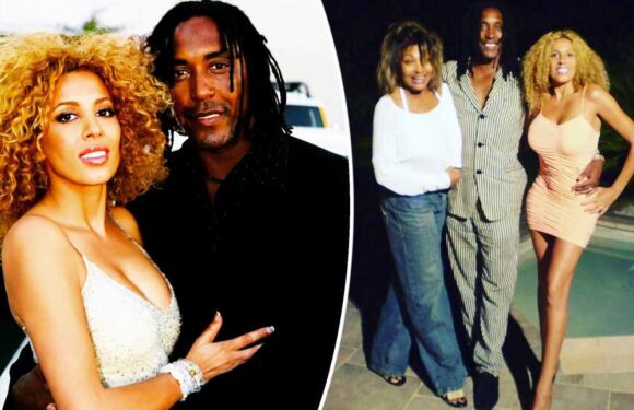 Tina Turner’s daughter-in-law plans to use late husband Ronnie’s sperm to have a baby at 46