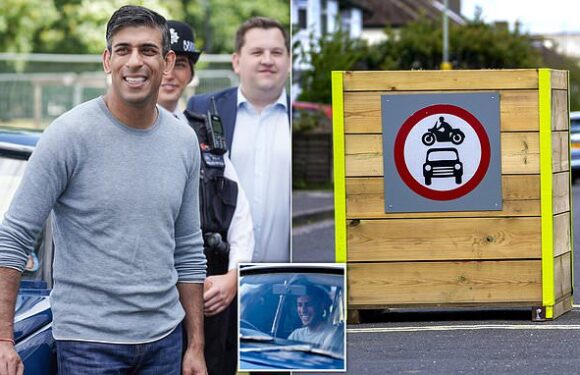 Tories accused of 'pure hypocrisy' after Rishi Sunak LTN review order