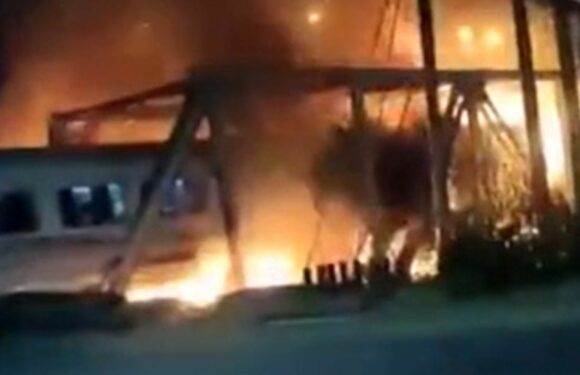 Train explodes into fireball after smashing into truck in horror crash