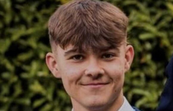 Tributes to 'cheeky' boy, 17, stabbed to death at end-of-term marquee party as teen, 16, charged with murder | The Sun