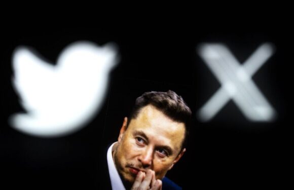 Twitter given new URL hours after Elon Musk hints at logo replacement