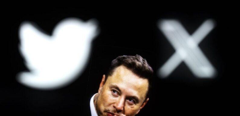 Twitter given new URL hours after Elon Musk hints at logo replacement