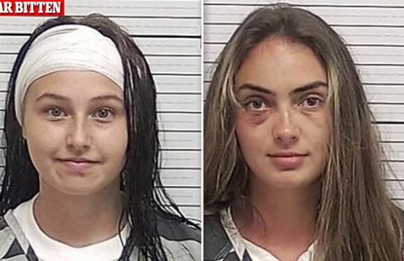 Two women, 23 and 18, are arrested after brutal July 4th brawl