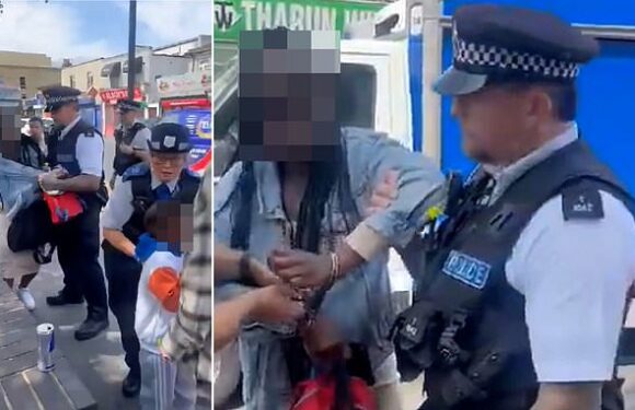 Watchdog reviews video of police arresting woman over bus ticket