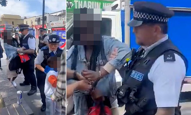 Watchdog reviews video of police arresting woman over bus ticket