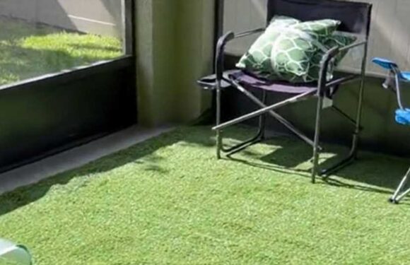 We made over our patio for $250 with a Walmart buy – now it's babyproof too, and so worth it | The Sun