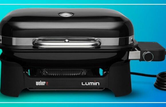 Weber Lumin review: An electrifying new way to cook outdoors