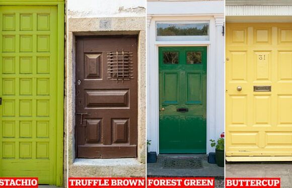 Welcome to happiness: the colour of your front matters!