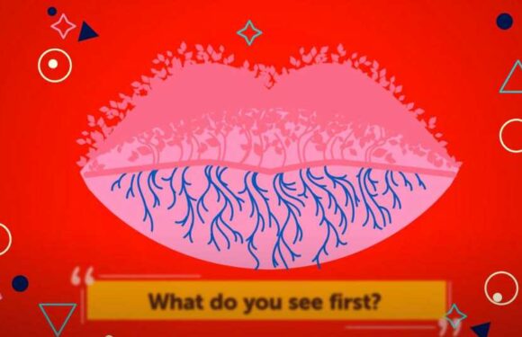 What you see first in new optical illusion reveals if you’re straightforward and trusting or super ambitious | The Sun