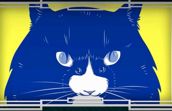 What you see first in this optical illusion reveals two opposing personality traits – are you an optimist or a realist? | The Sun