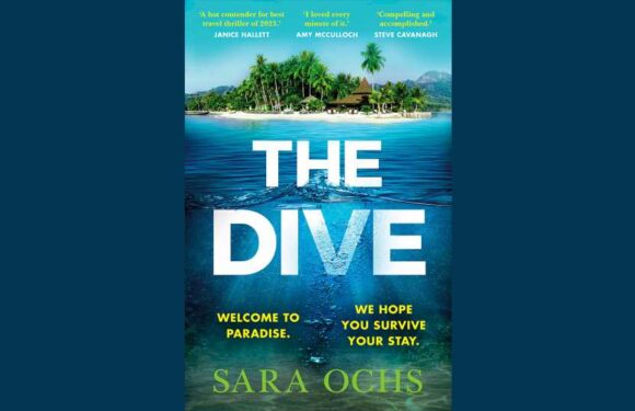Win a copy of The Dive by Sara Ochs in this week's Fabulous book competition | The Sun