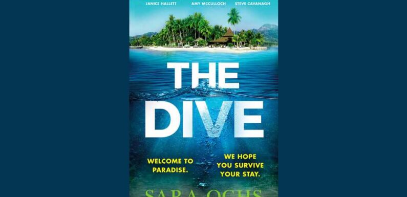 Win a copy of The Dive by Sara Ochs in this week's Fabulous book competition | The Sun