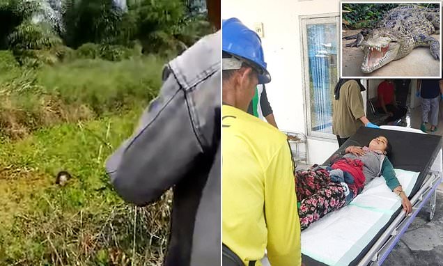 Woman is attacked in a swamp by a crocodile for 90 MINUTES