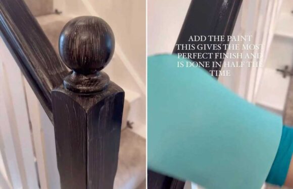 Woman shares the £1 way she ensures her paint has a perfect finish – and people are rushing to try it out | The Sun