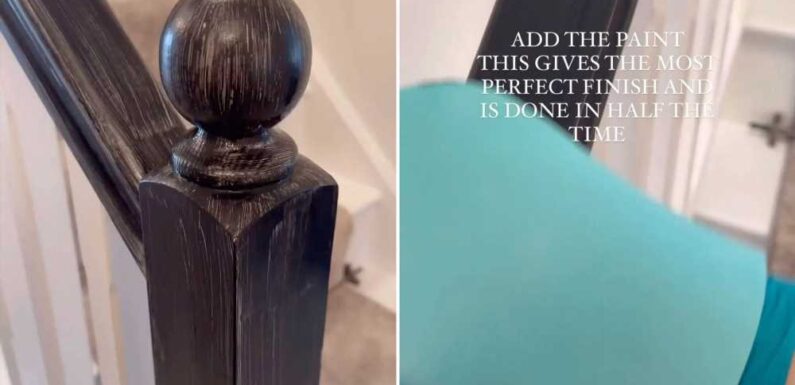 Woman shares the £1 way she ensures her paint has a perfect finish – and people are rushing to try it out | The Sun