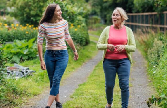 Woman upset after being told she can't break into her neighbour's garden