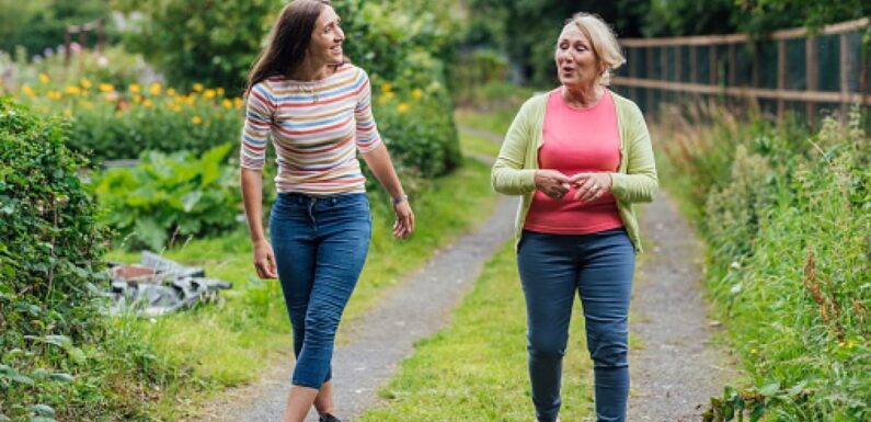 Woman upset after being told she can't break into her neighbour's garden