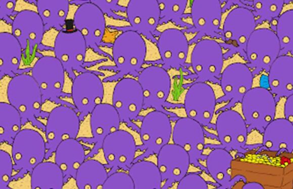 You have 20/20 vision if you can spot the fish hiding among octopuses in this optical illusion in 15 seconds | The Sun