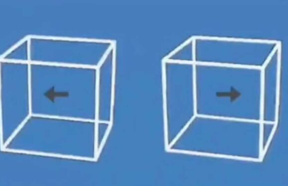 You have the eyes of a hawk if you can spot what's really going on with the boxes in this mind-blowing optical illusion | The Sun