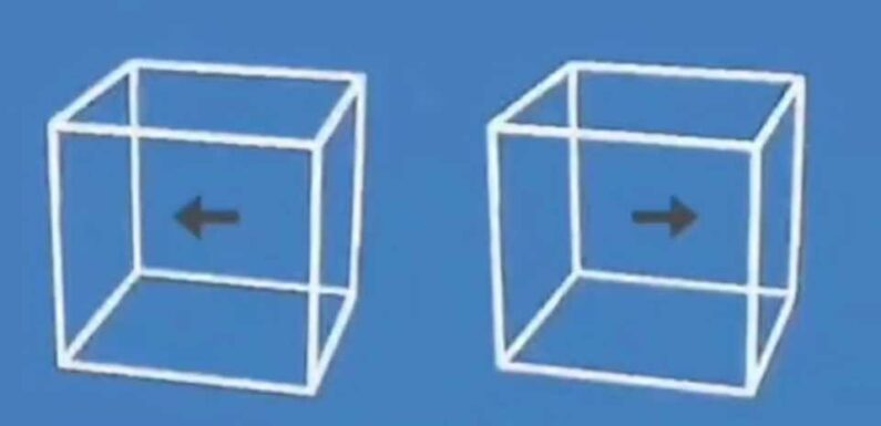 You have the eyes of a hawk if you can spot what's really going on with the boxes in this mind-blowing optical illusion | The Sun