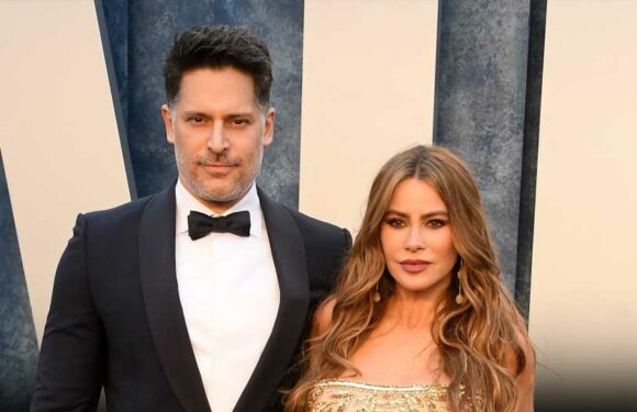 'Big teenager' Joe Manganiello 'looked like a single guy' with his man cave during Sofia Vergara marriage, says expert | The Sun