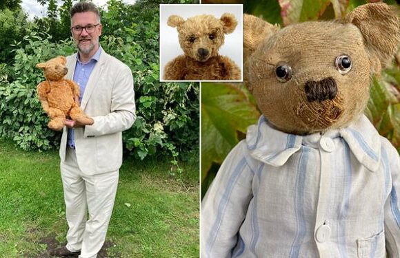 118-year-old teddy bought at a car boot, expected to fetch thousands