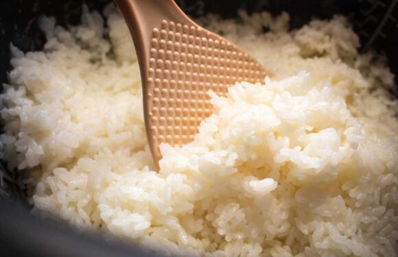 13 Best Rice Cookers 2023 UK; including large sizes and microwave rice cookers | The Sun