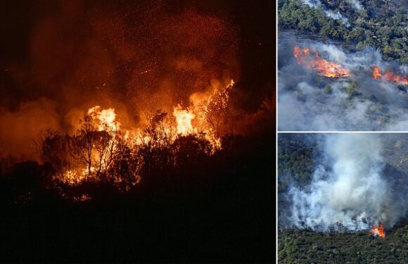 130 locals are evacuated as wildfires sweep Spanish border with France