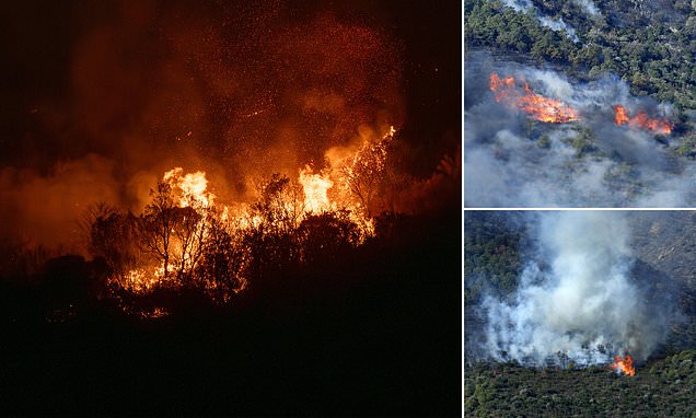 130 locals are evacuated as wildfires sweep Spanish border with France